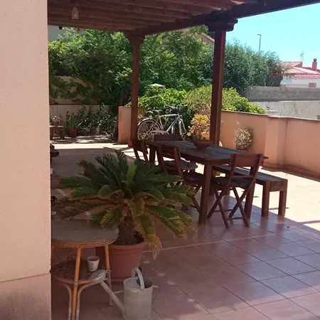 Jacaranda Aguadulce (Almeria)